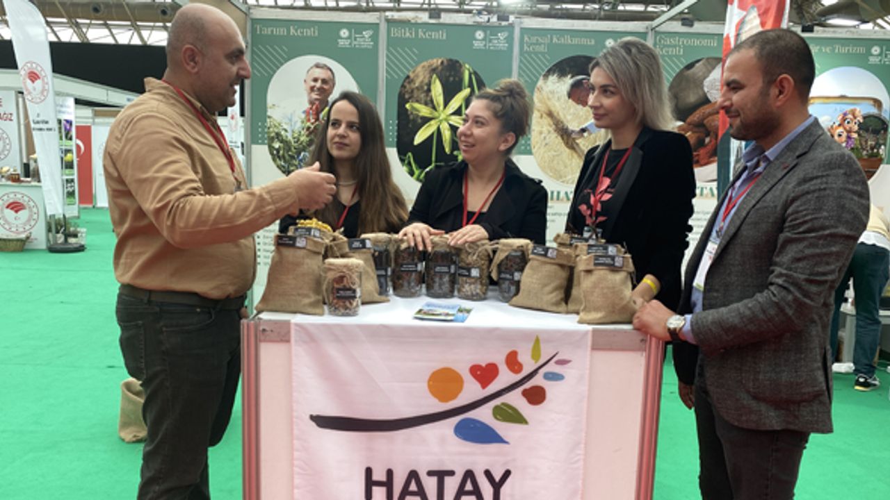 Hatay’ın Tıbbi Ve Aromatik Bitkileri Antalya’da